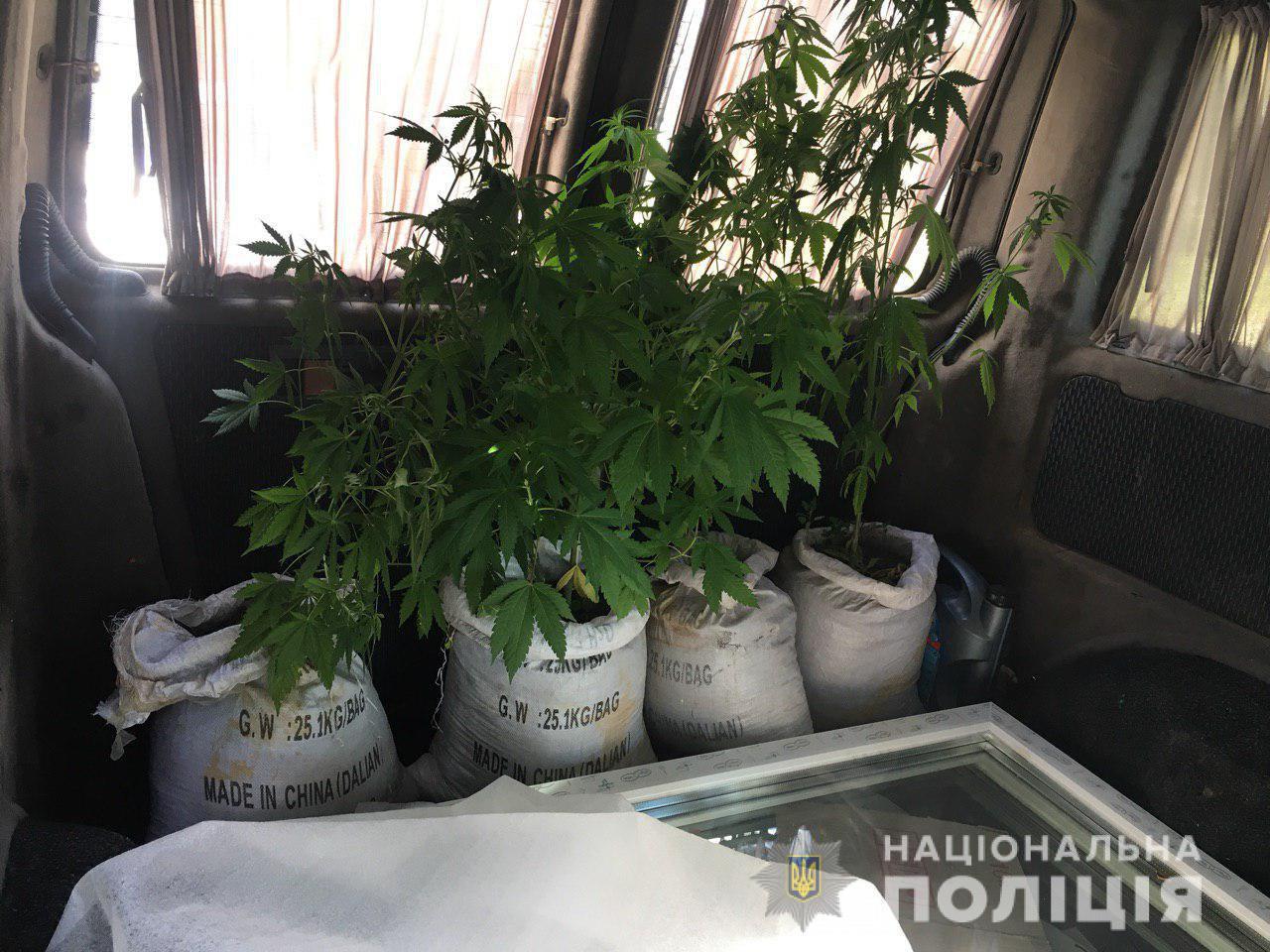 Photo 2019 07 24 14 13 57