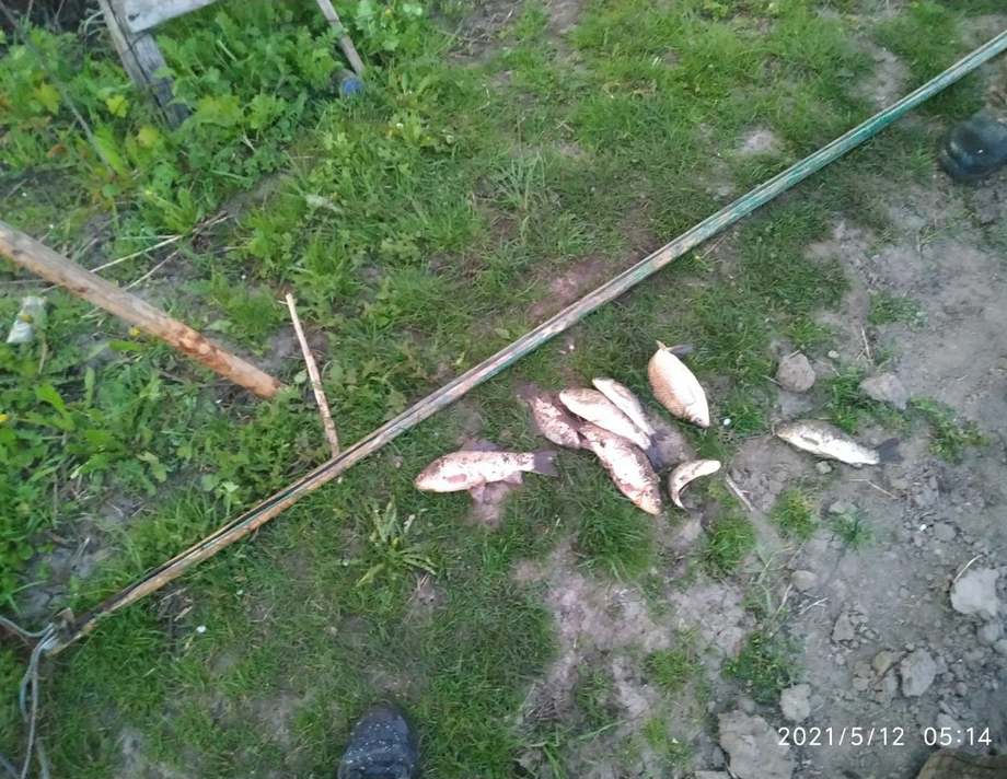 В селі Вугли на Вінниччині рибоохоронний патруль затримав порушника