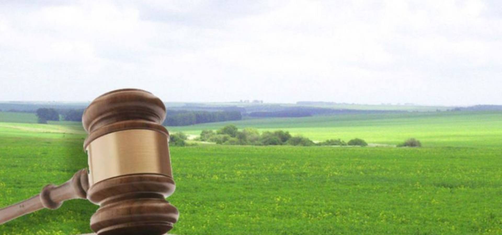 Суд конфіскував земельну ділянку в Уланівській громаді, яка знаходилась у власності громадянки росії