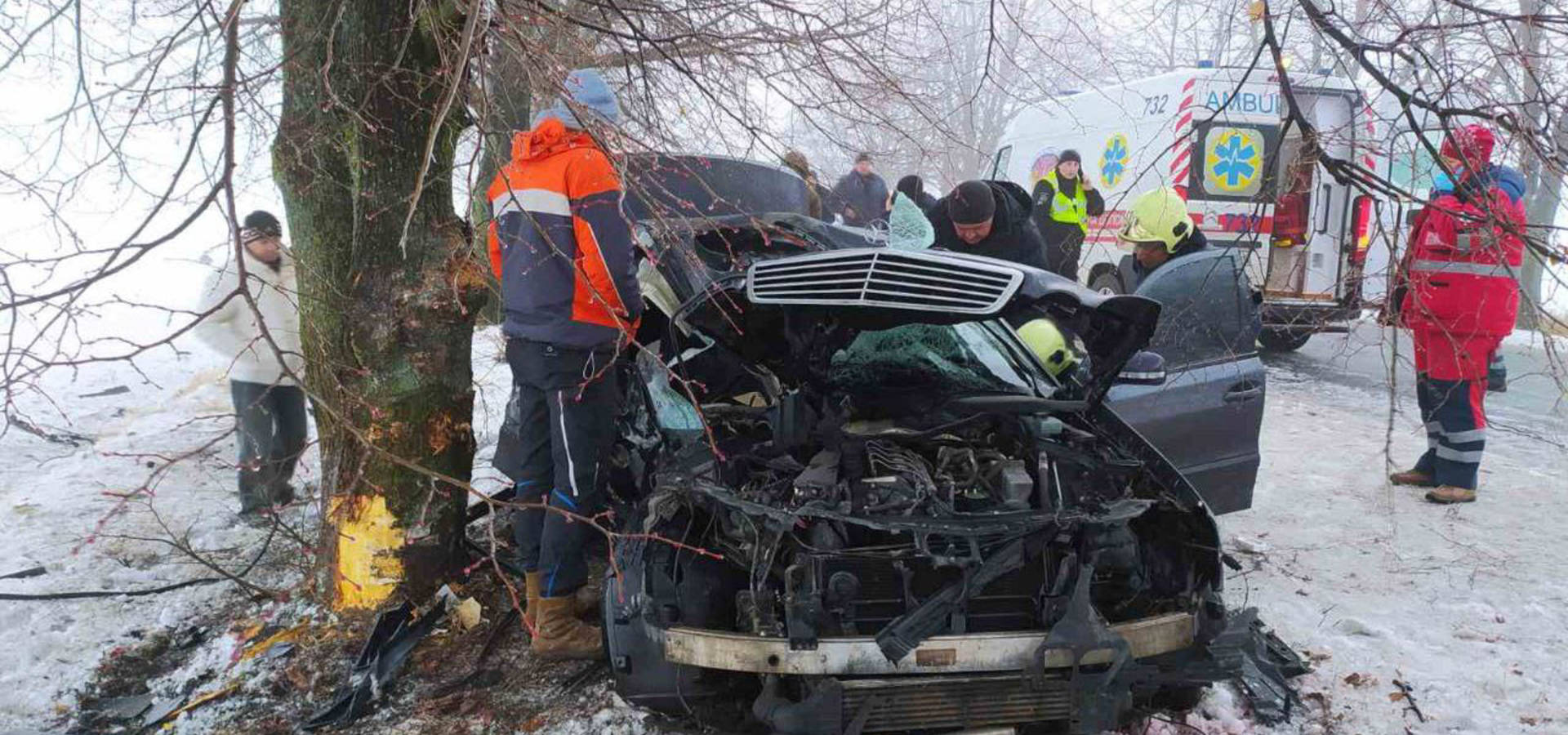 В Хмільницькому районі Mercedes "врізався" у дерево – водійку без свідомості госпіталізували