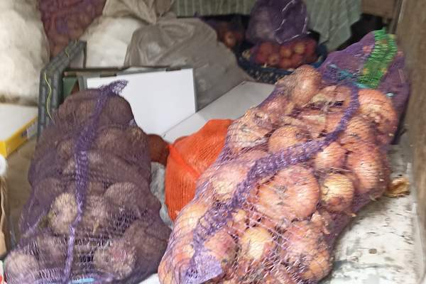 580975520 1376126040576557 4859431691959430318 n