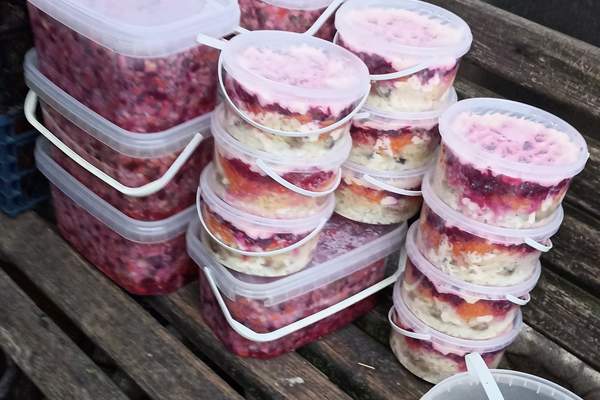 581924405 1376126013909893 3783238188199483279 n