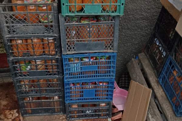 581928234 1376125870576574 2235116765030949650 n