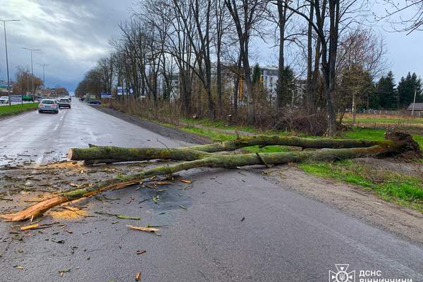 666297621 1433906328748919 6587305985352029531 n