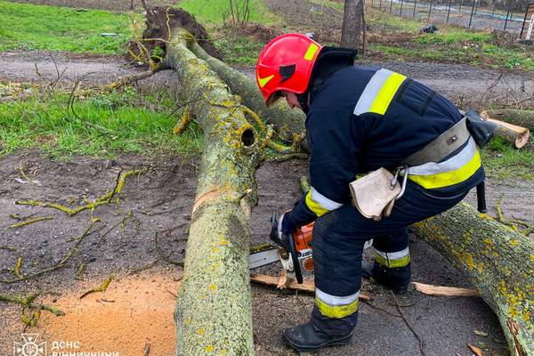 668765412 1433906312082254 7431885231906291605 n