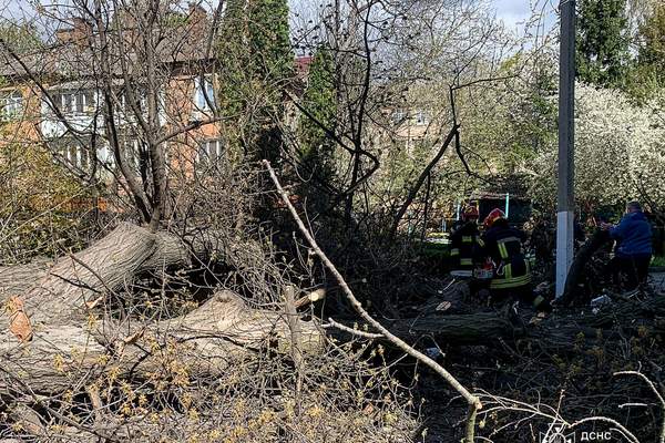 683482556 1449102090562676 2553752502271728484 n