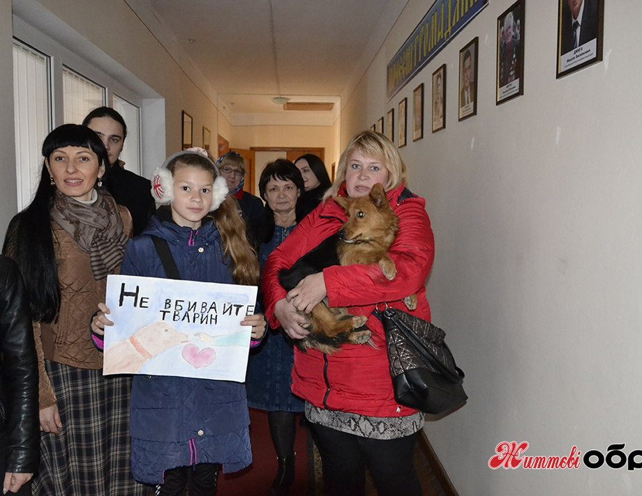 Активісти та зоозахисники у Профспілковому санаторії і в мерії шукали правди, щодо отруєння собак  (відео)