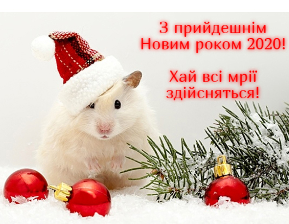 З Новим 2020 роком!