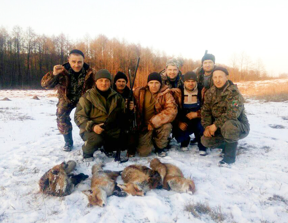 В Лозові на Вінниччині триває полювання на лисів 