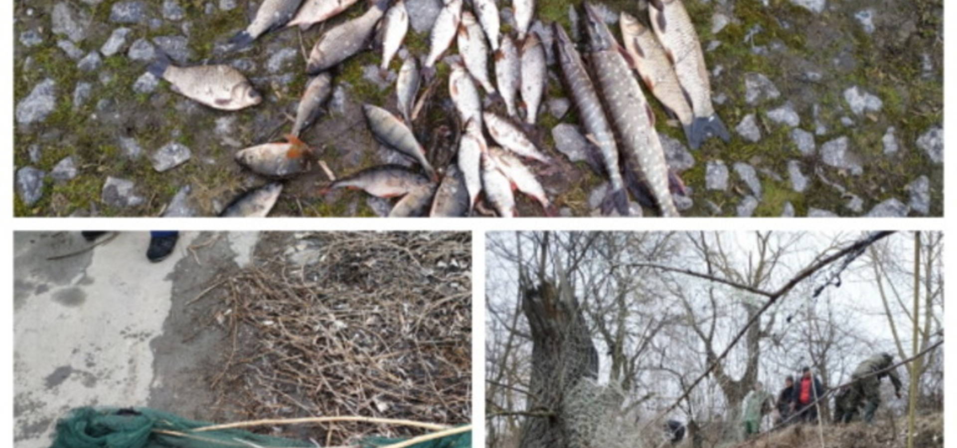 Рибних браконьєрів затримали у Хмільницькому районі на Вінниччині 
