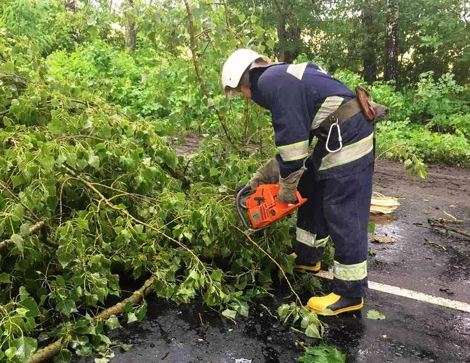Звалене дерево біля Порика заблокувало рух на автошляху