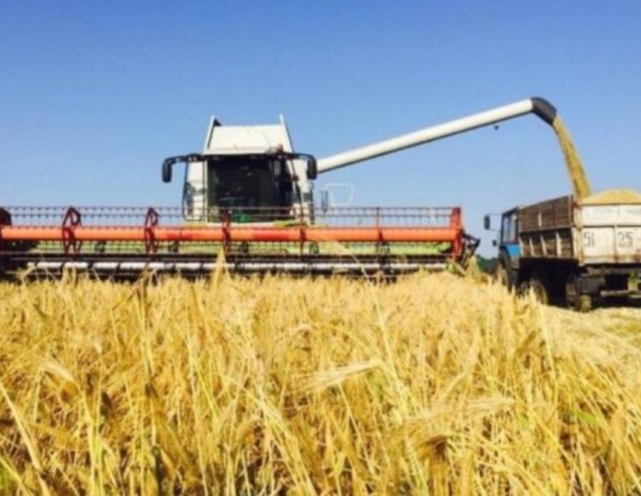 Перший мільйон тонн зерна намолотили на Вінниччині 