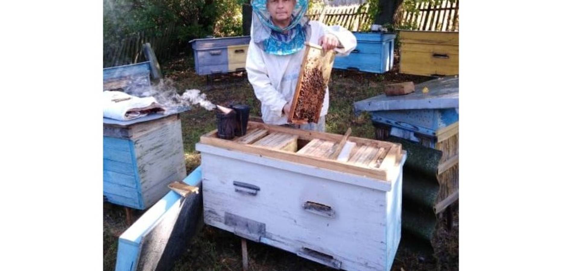 Щоб мед їсти, треба не присісти