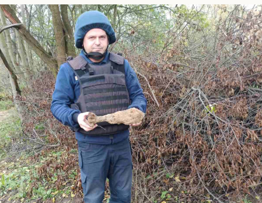 В Багринівцях Літинського району люди знайшли міну