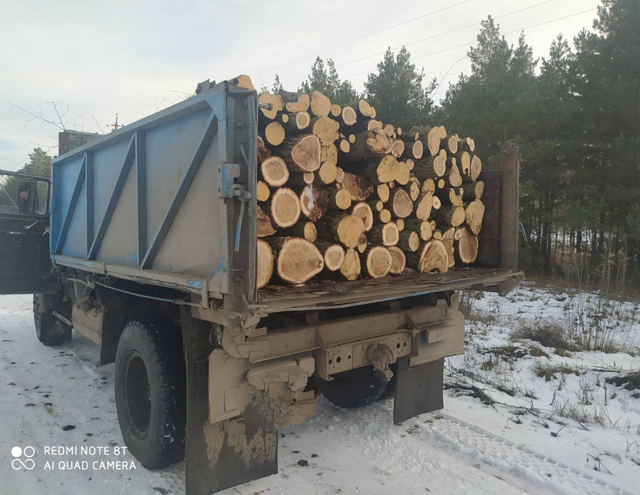 З Хмільницького лісгоспу на Вінничині вивозили деревину без документів