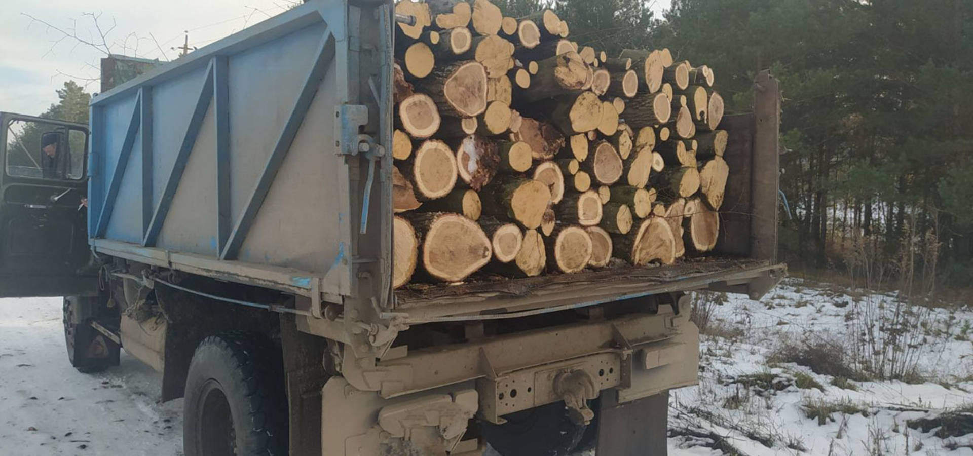 З Хмільницького лісгоспу на Вінничині вивозили деревину без документів