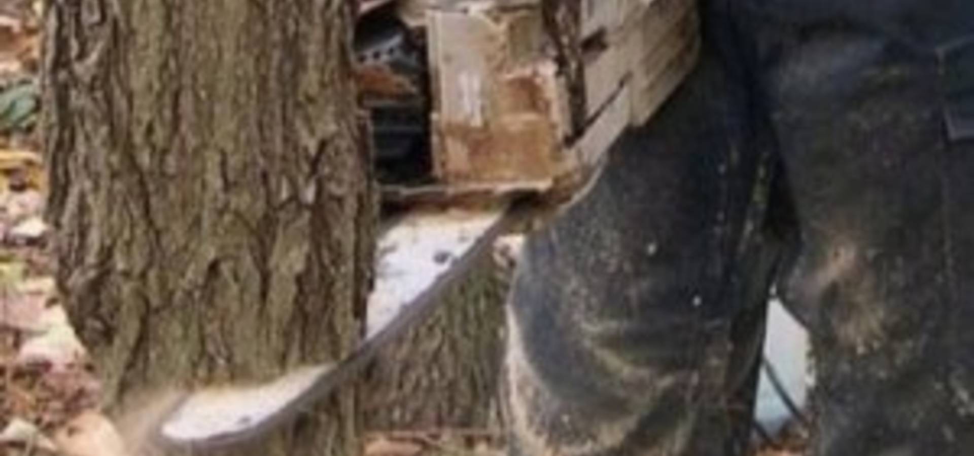 В селі Тараски на Вінниччині чоловік загинув зрізаючи дерево