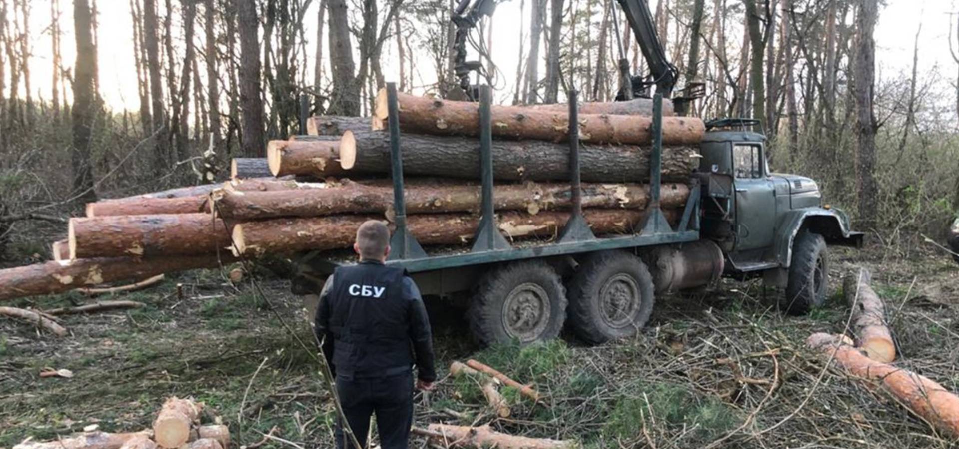 На Вінниччині посадовці лісгоспу організовували незаконну вирубку лісу