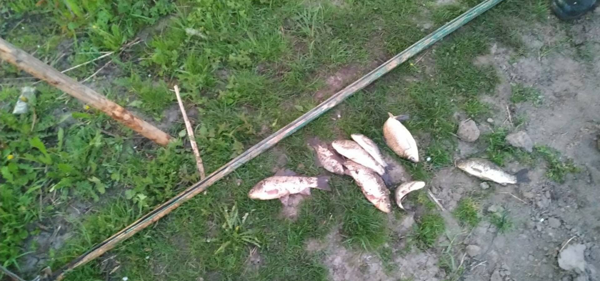 В селі Вугли на Вінниччині рибоохоронний патруль затримав порушника
