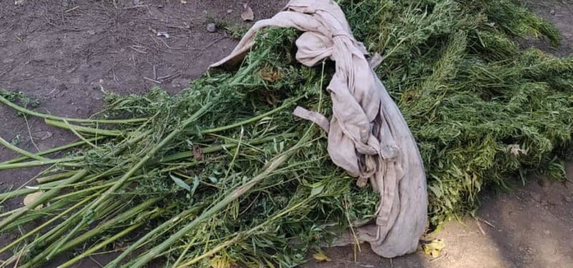У жителя Хмільницького району знайшли наркотики