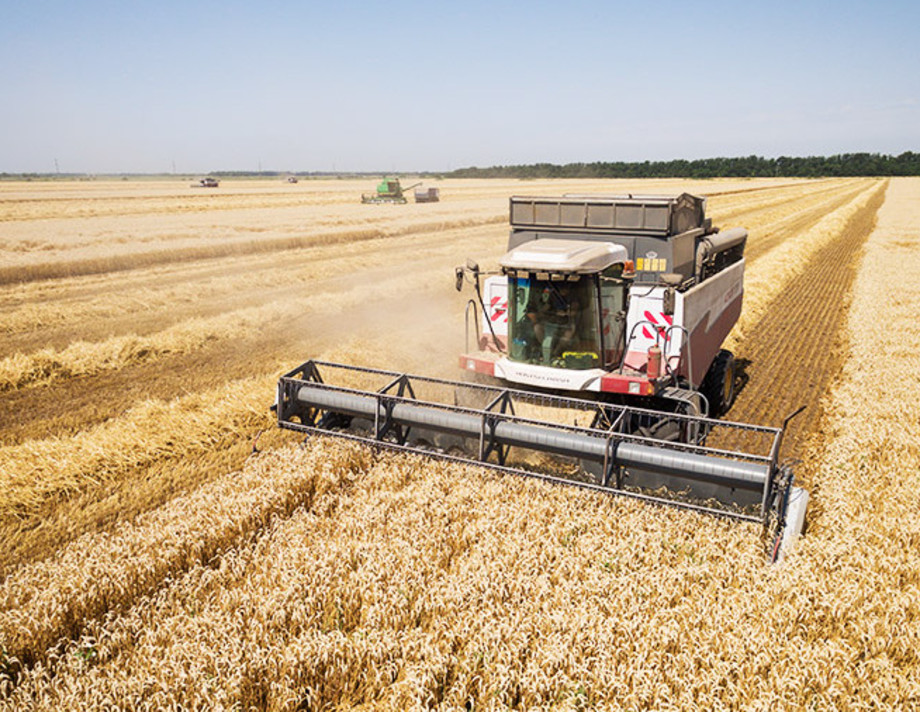 Вінниччина потрапила у ТОП-3 областей України за врожайністю зернових культур