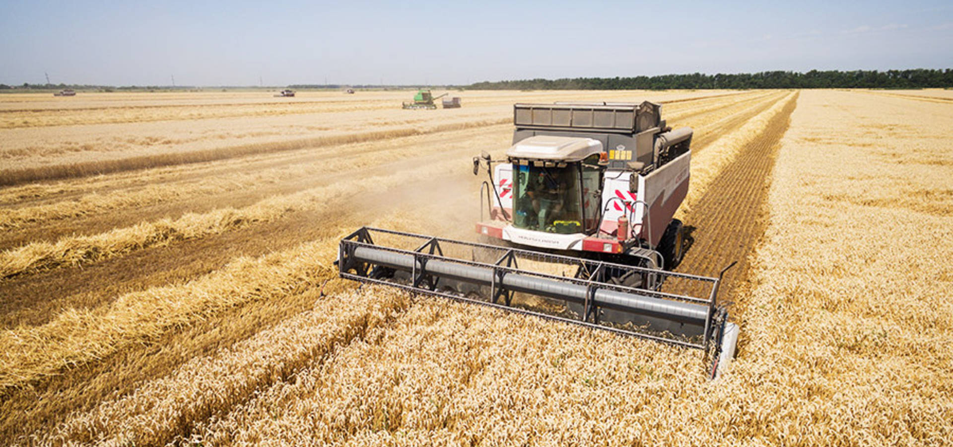Вінниччина потрапила у ТОП-3 областей України за врожайністю зернових культур