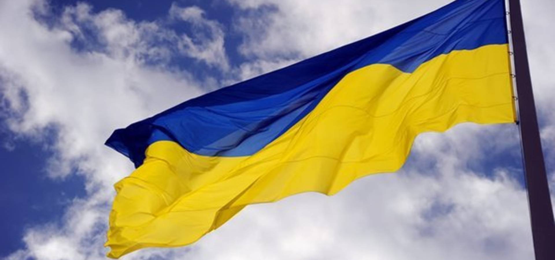 У Вінниці п'яний росіянин зірвав та викинув прапор України