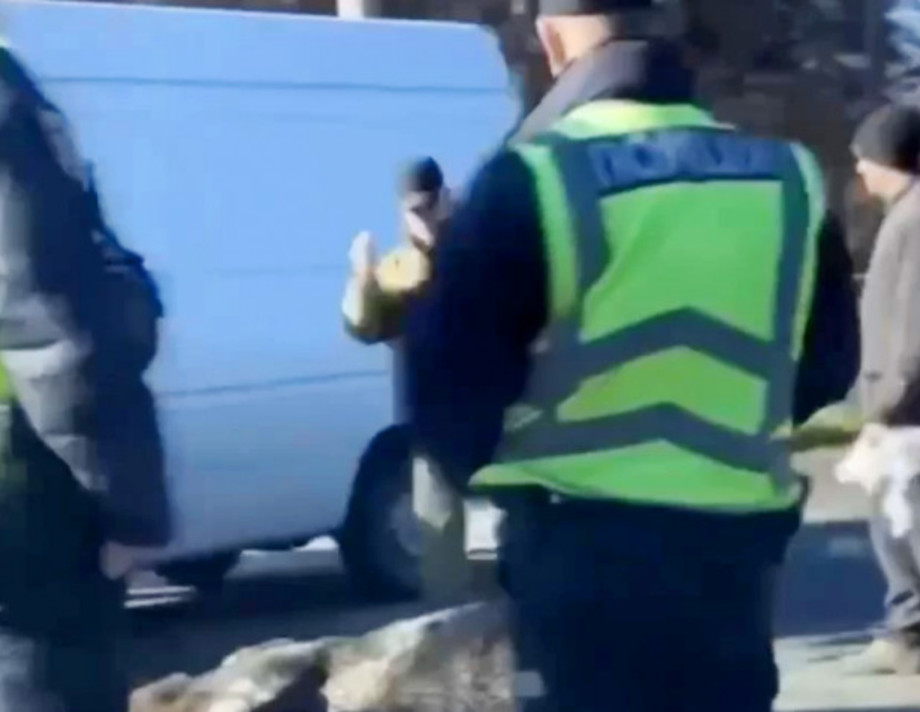 На Вінниччині автомобіль Renault збив лося (відео)