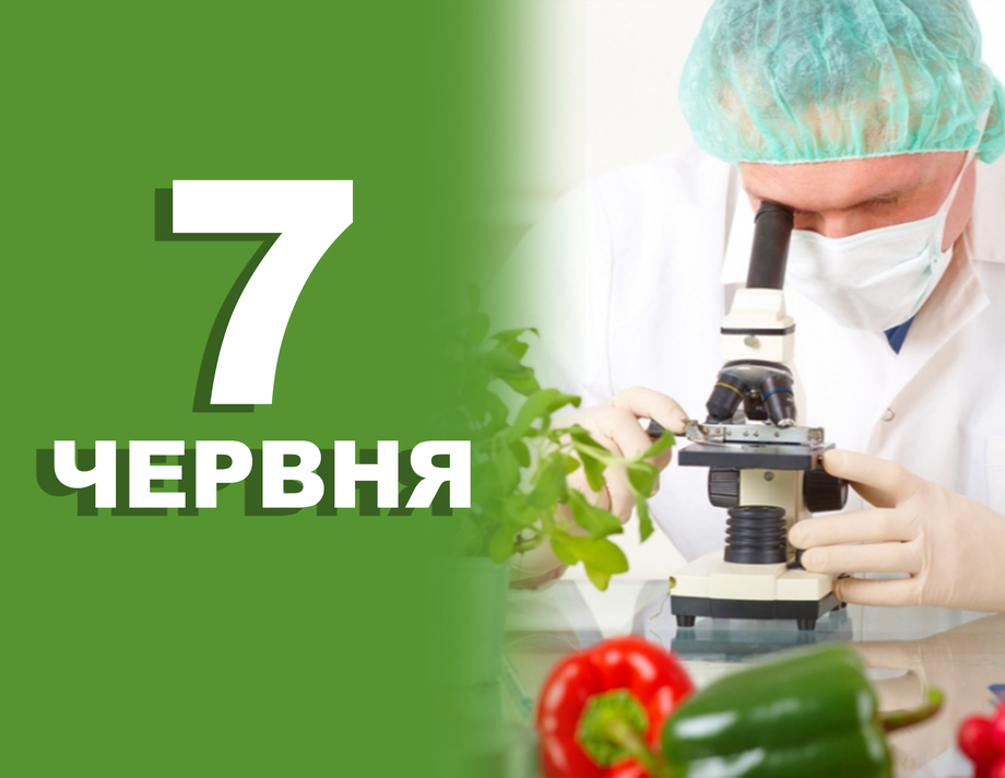 7 червня. Що відзначають в цей день