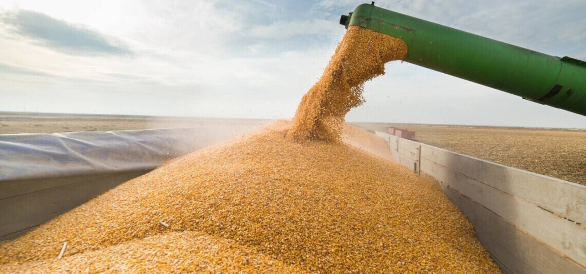  У Мінагрополітики підрахували, скільки зерна росія вже вивезла з України 
