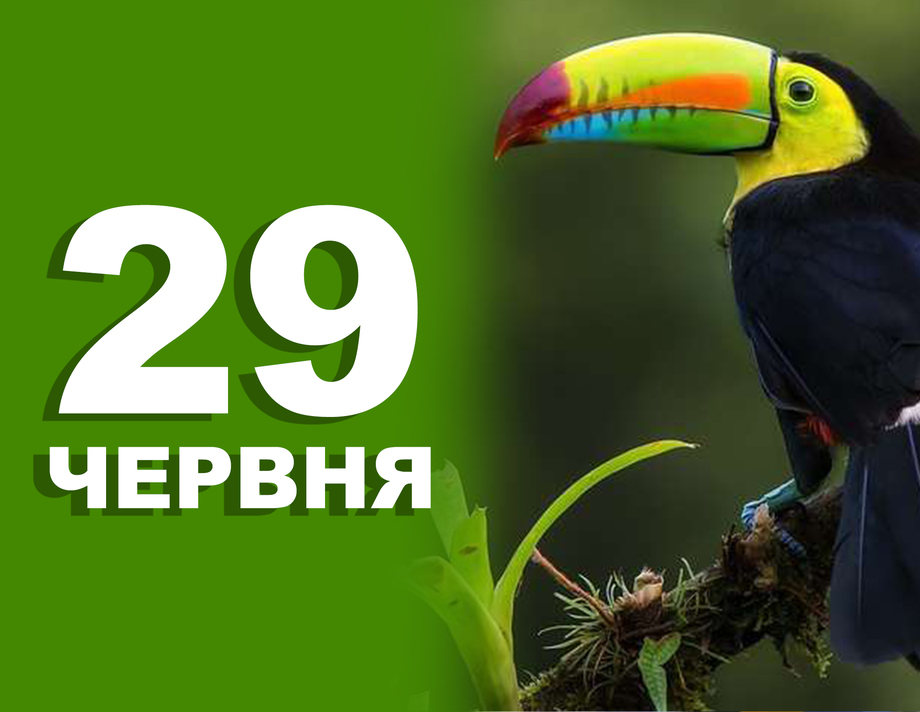 29 червня. Що відзначають в цей день