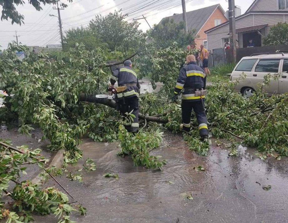 Наслідки грози на Вінниччині: повалені дерева та пожежа від удару блискавки