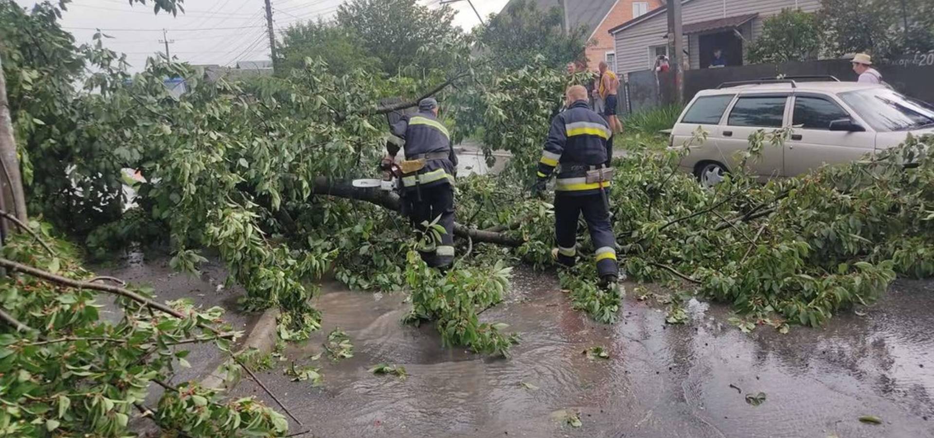 Наслідки грози на Вінниччині: повалені дерева та пожежа від удару блискавки