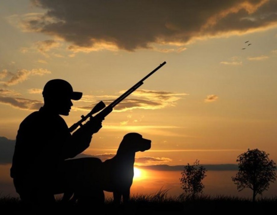У цьогорічному мисливському сезоні в Хмільнику та на Вінниччині діятиме заборона на полювання пернатої дичини
