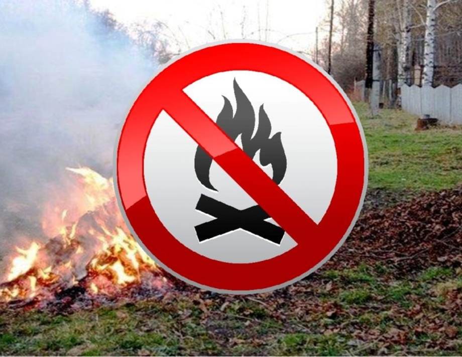 Хмільничан закликають не спалювати сухе листя та попереджають про відповідальність