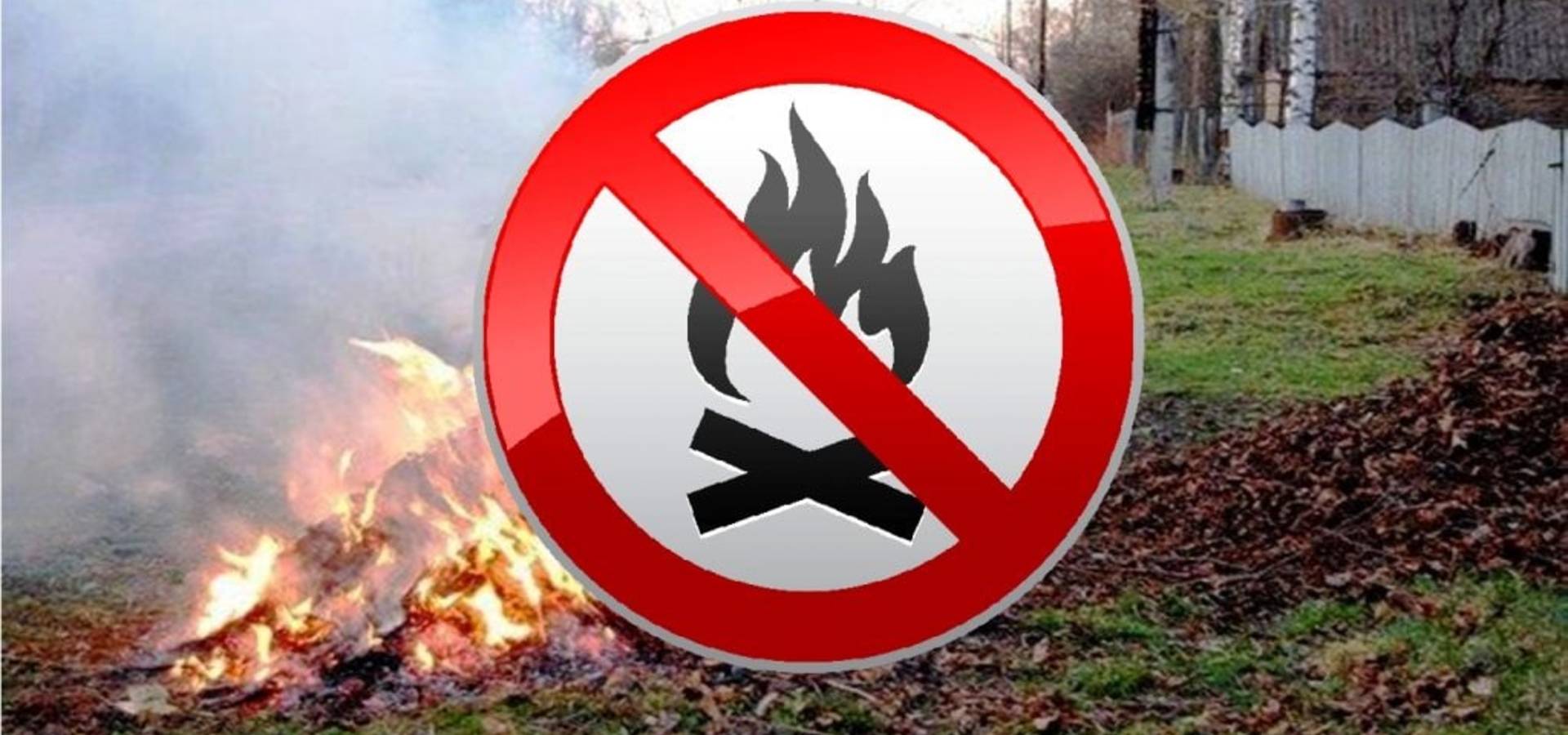 Хмільничан закликають не спалювати сухе листя та попереджають про відповідальність