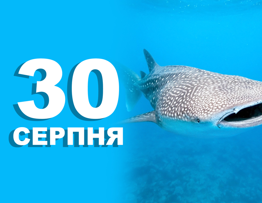 30 серпня. Що відзначають в цей день