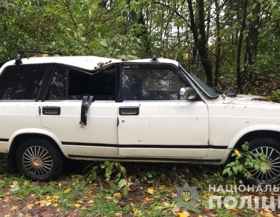 Внаслідок вчорашньої негоди на Вінниччині на автівку впало дерево, водій загинув