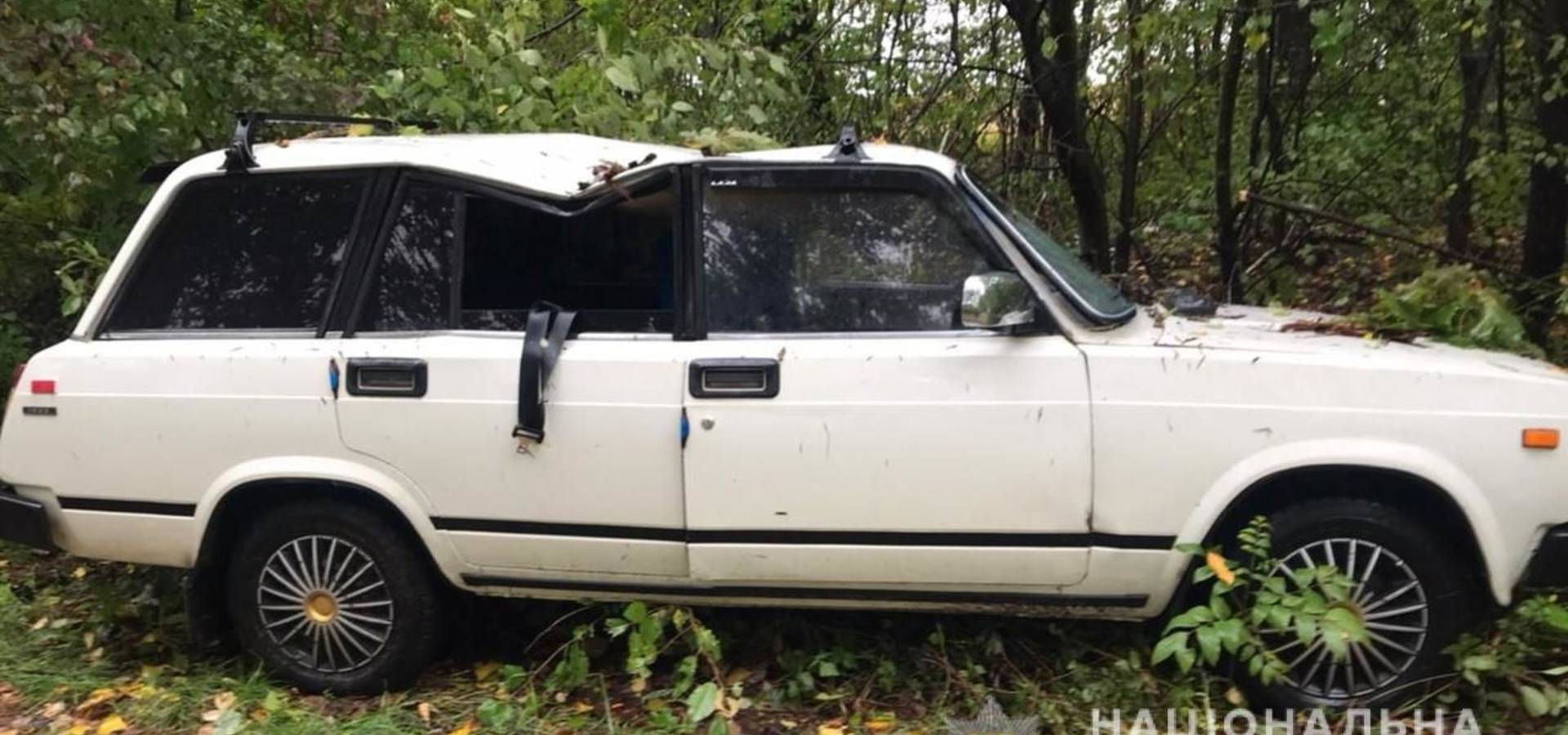Внаслідок вчорашньої негоди на Вінниччині на автівку впало дерево, водій загинув