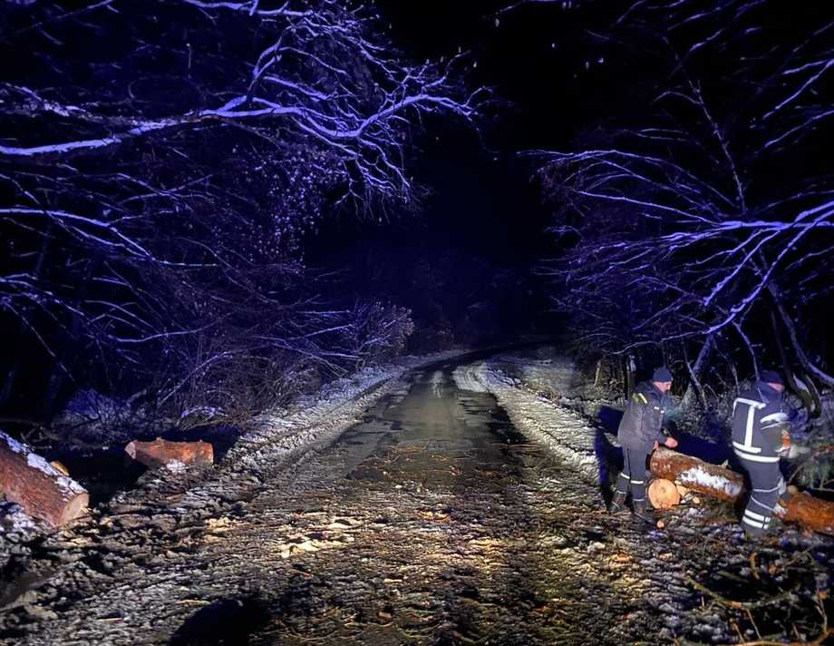 На Вінниччині через негоду на проїжджу частину дороги впали п'ять дерев