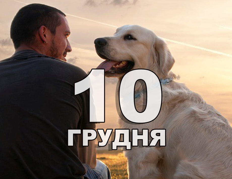 10 грудня. Що відзначають в цей день