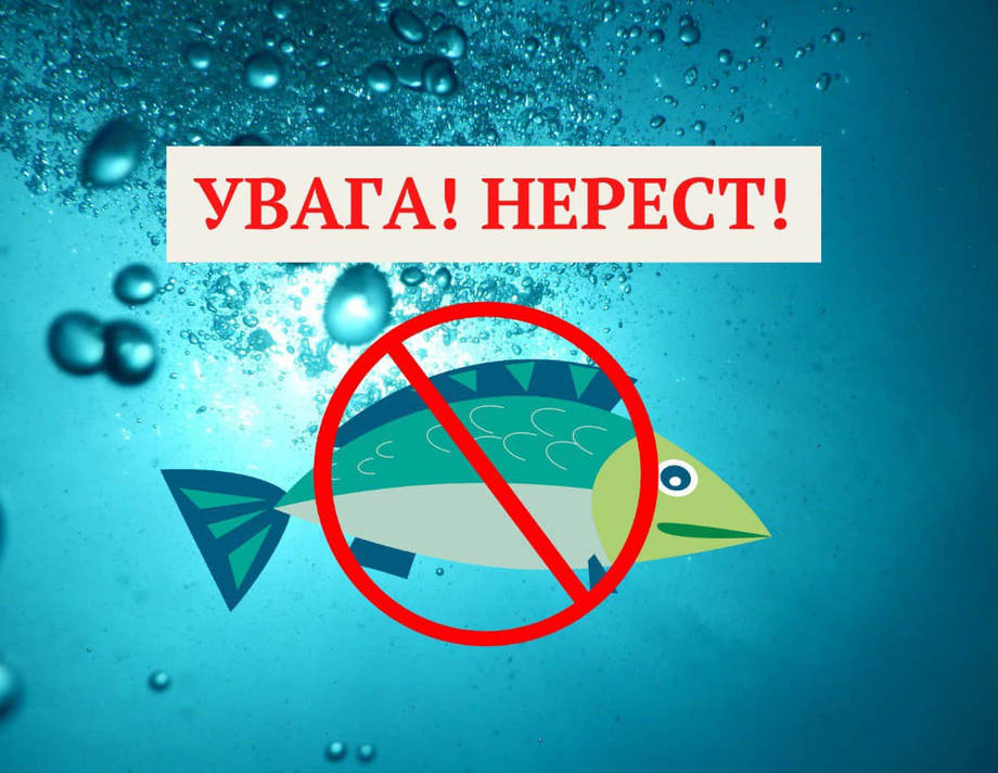 З 1 квітня на Вінниччині діятиме весняно-літня заборона на вилов риби