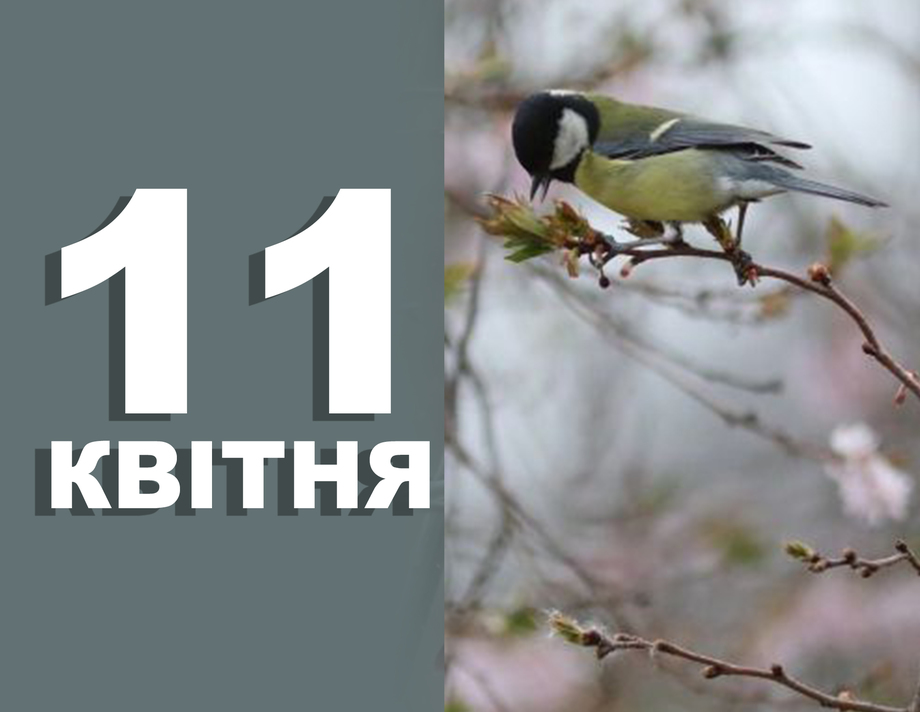 11 квітня. Що відзначають в цей день?