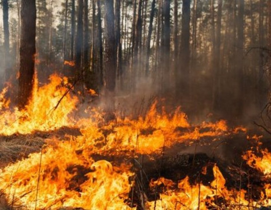 На Вінниччині сталося вісім пожеж протягом дня
