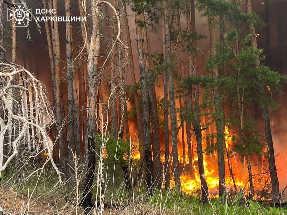 На Харківщині пожежа охопила близько 4 тисяч гектарів лісу