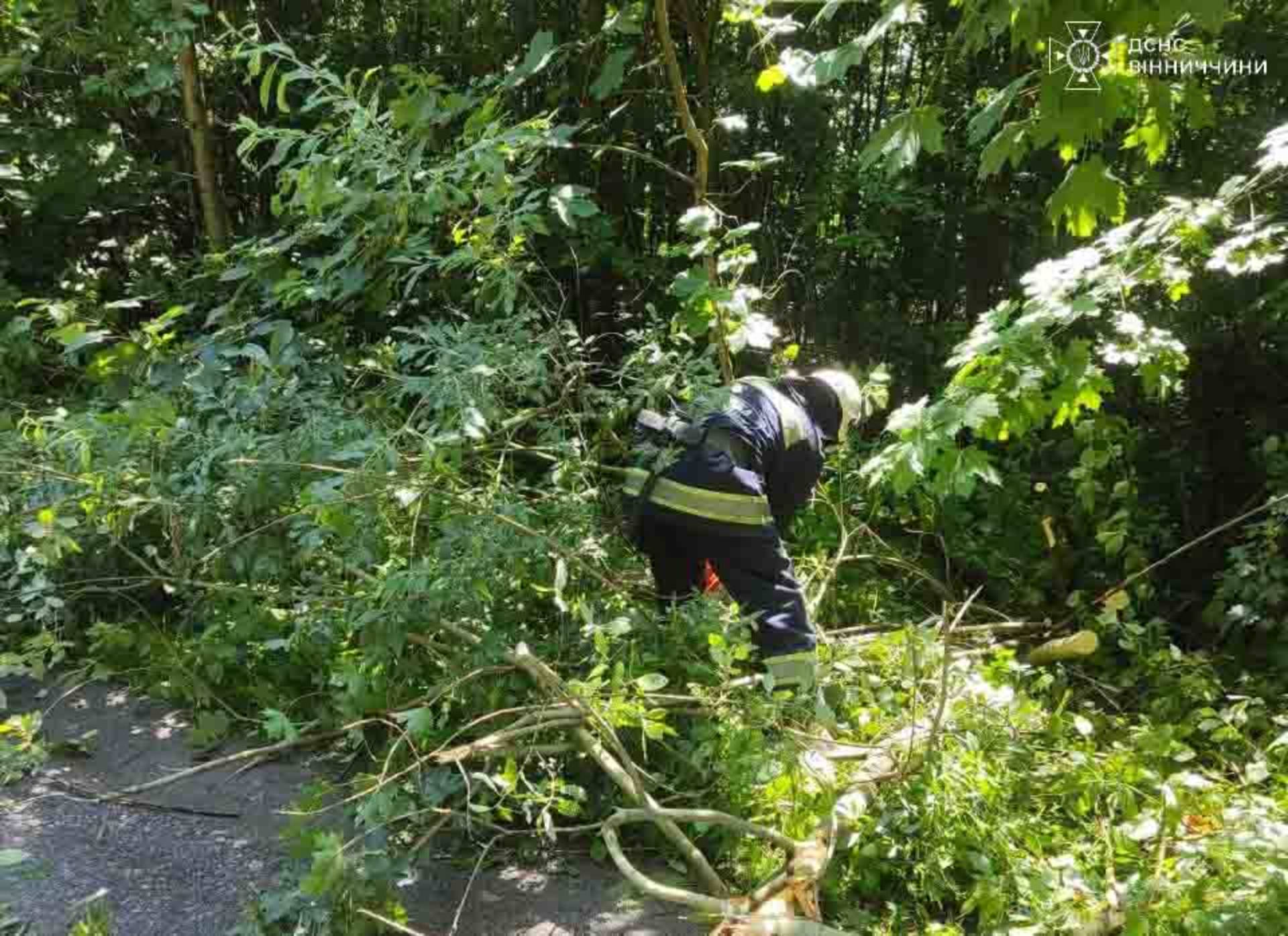 Вчора в Хмільницькому районі рятувальники прибирали повалені вітром дерева