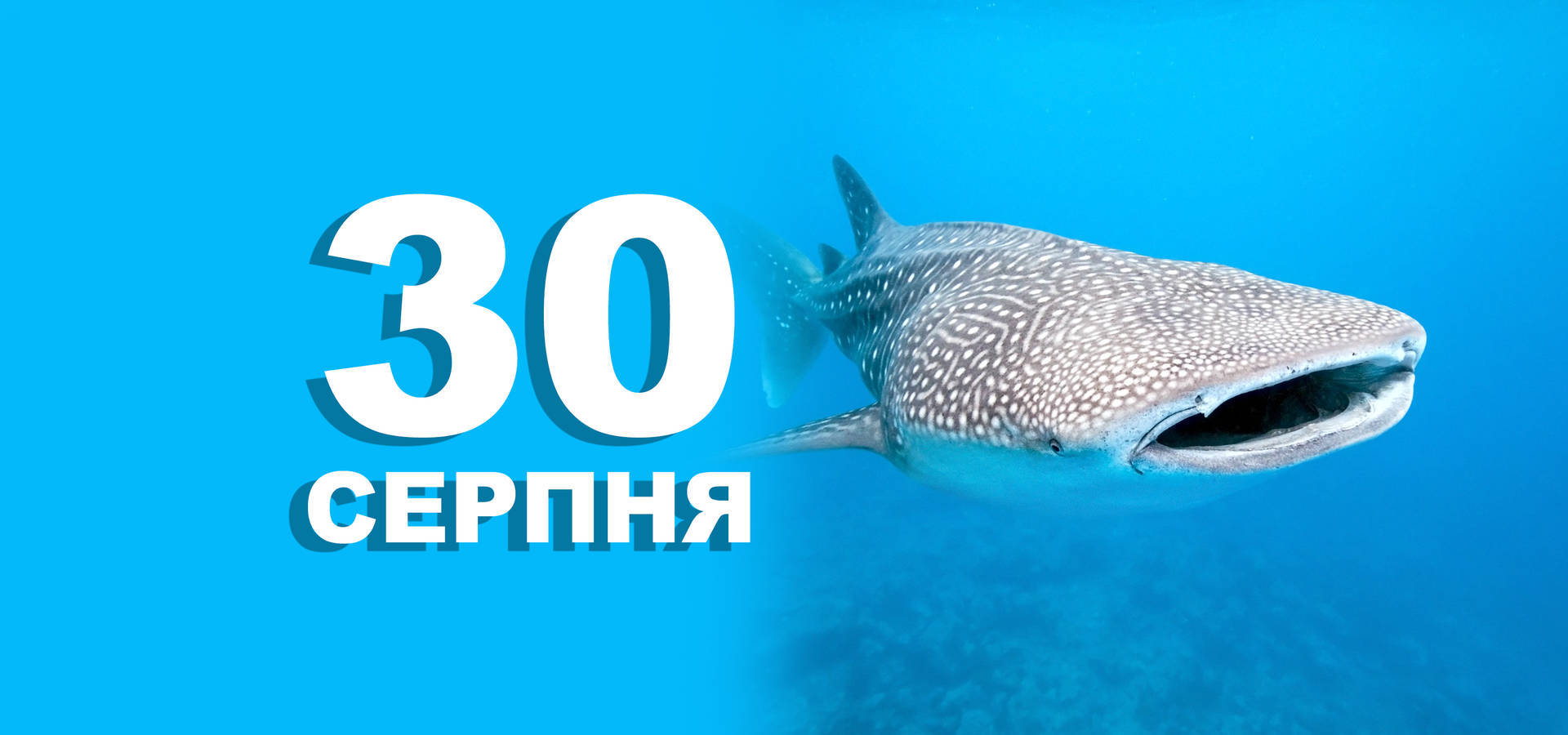 30 серпня. Що відзначають в цей день?