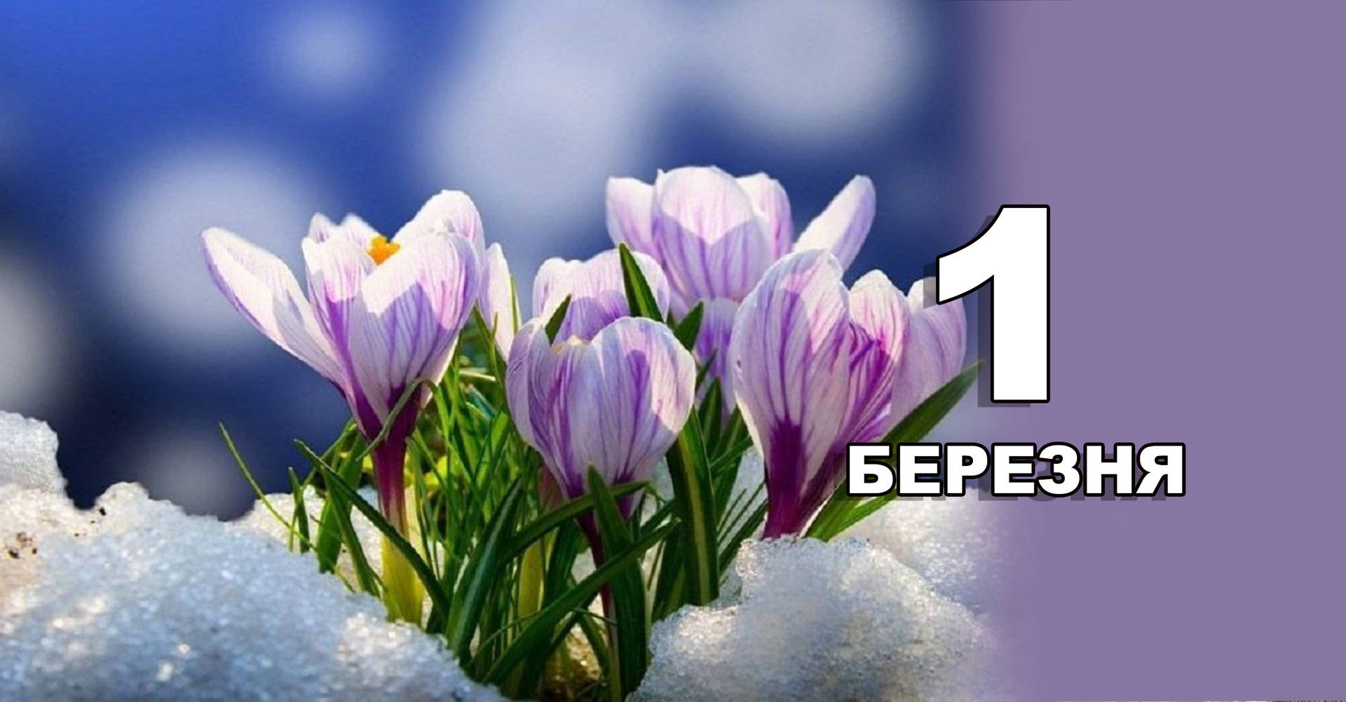 1 березня. Що відзначають в цей день?