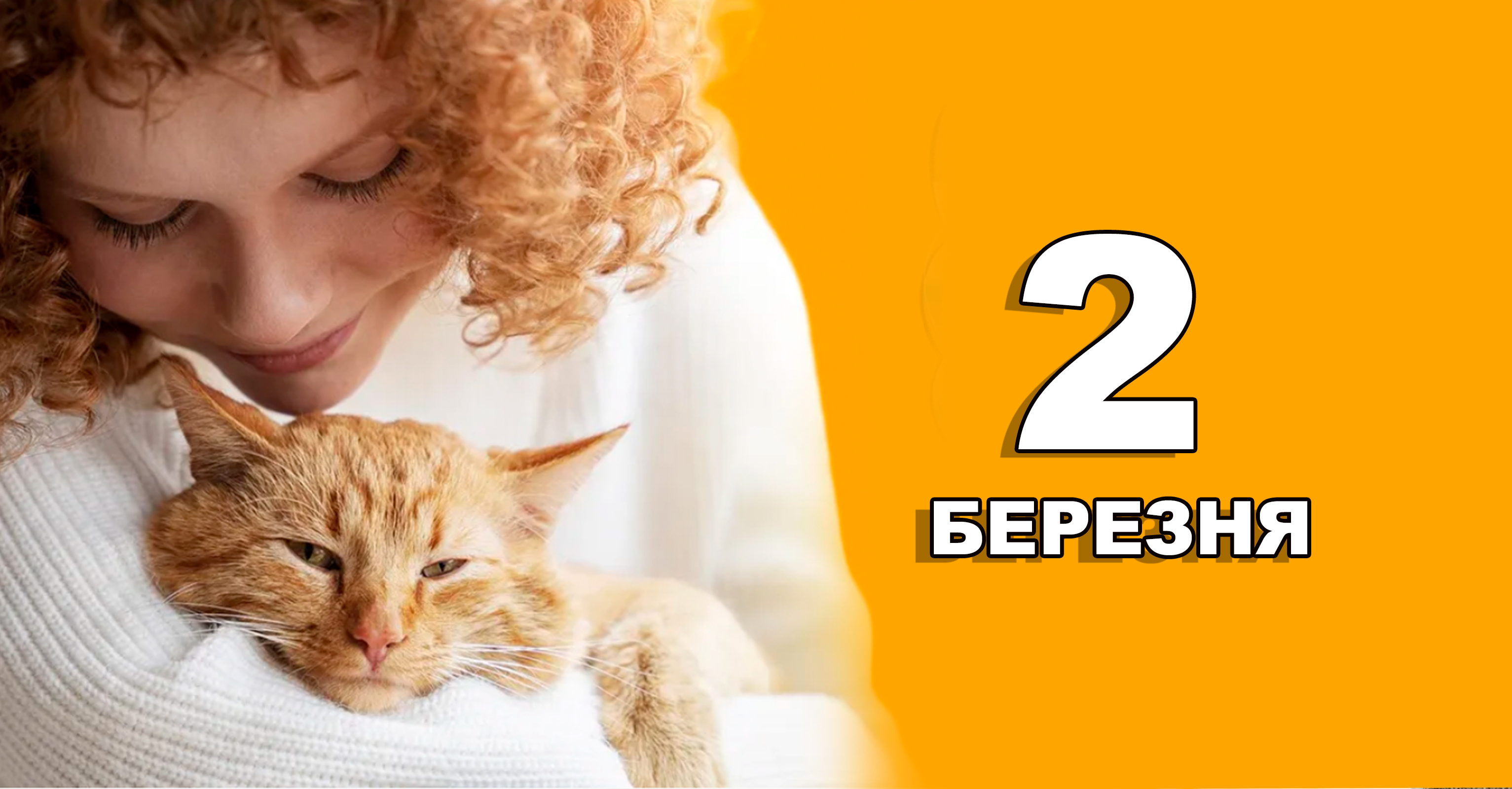 %d0%a8%d0%b0%d0%b1%d0%bb%d0%be%d0%bd %d0%ba%d0%be%d0%bf%d1%96%d1%8f