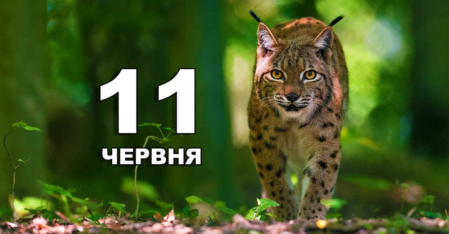 11 червня. Що відзначають в цей день?